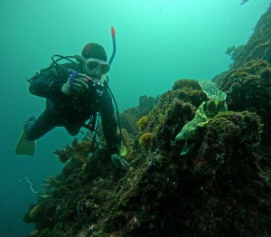 DCIM100GOPROGOPR3994.JPG