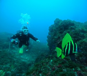 DCIM100GOPROGOPR4005.JPG