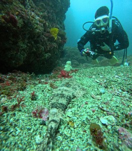 DCIM100GOPROGOPR4013.JPG