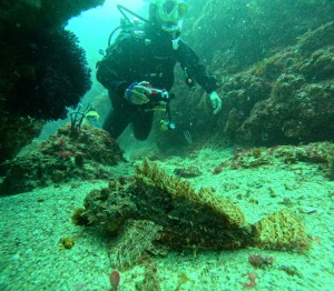 DCIM100GOPROGOPR4023.JPG