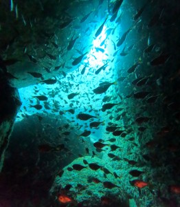 DCIM100GOPROGOPR4050.JPG