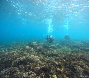 DCIM100GOPROGOPR4271.JPG