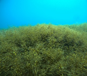 DCIM100GOPROGOPR4283.JPG