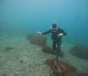 DCIM100GOPROGOPR4290.JPG