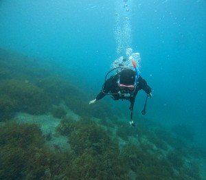 DCIM100GOPROGOPR4298.JPG