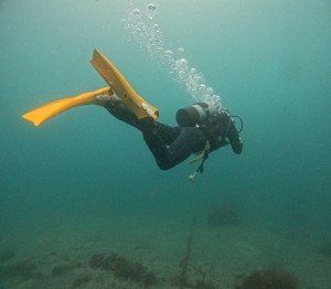 DCIM100GOPROGOPR4302.JPG