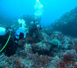 DCIM100GOPROGOPR4398.JPG