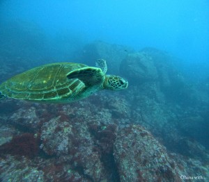 DCIM100GOPROGOPR4408.JPG