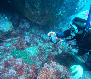 DCIM100GOPROGOPR4429.JPG