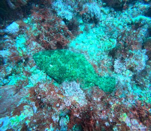 DCIM100GOPROGOPR4430.JPG