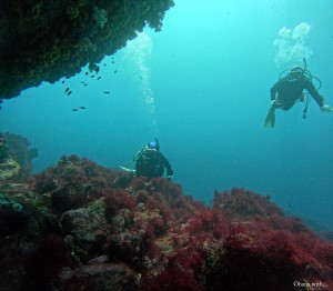 DCIM100GOPROGOPR4437.JPG