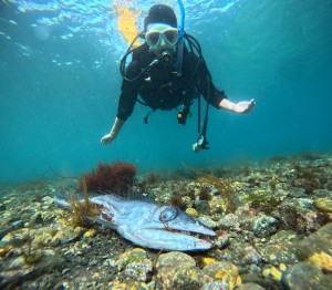 DCIM100GOPROGOPR4514.JPG