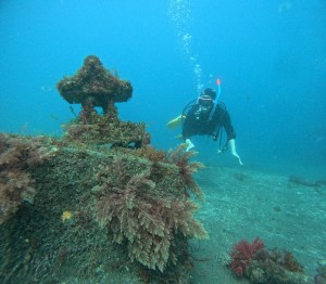 DCIM100GOPROGOPR4528.JPG