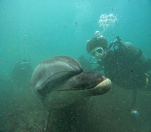 DCIM100GOPROGOPR8134.JPG