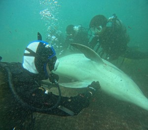 DCIM100GOPROGOPR8137.JPG