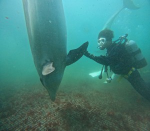 DCIM100GOPROGOPR8145.JPG