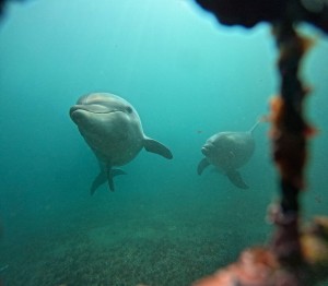 DCIM100GOPROGOPR8147.JPG