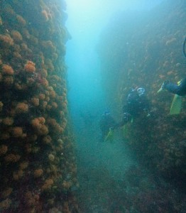 DCIM100GOPROGOPR8168.JPG