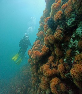 DCIM100GOPROGOPR8170.JPG