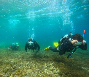 GOPR8194