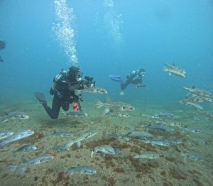 DCIM100GOPROGOPR8202.JPG