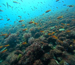 DCIM100GOPROGOPR8221.JPG