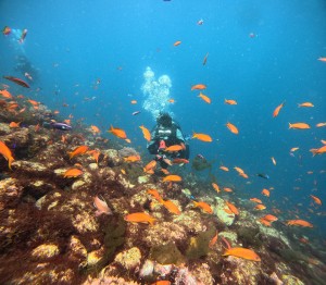 DCIM100GOPROGOPR8226.JPG