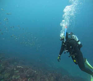 DCIM100GOPROGOPR8238.JPG