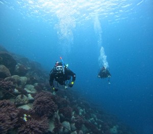 DCIM100GOPROGOPR8241.JPG