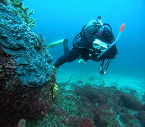 DCIM100GOPROGOPR8249.JPG