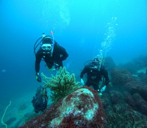 DCIM100GOPROGOPR8250.JPG