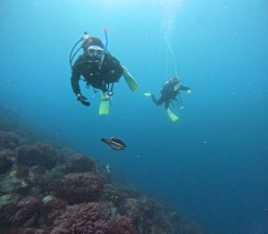 DCIM100GOPROGOPR8252.JPG