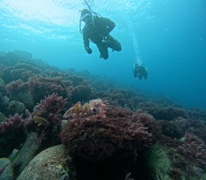 DCIM100GOPROGOPR8253.JPG