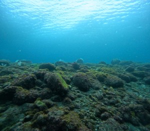 DCIM100GOPROGOPR8257.JPG