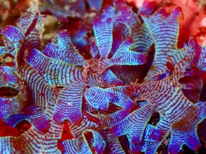P3070077