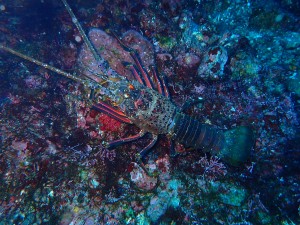 P3200478