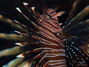 P3210073