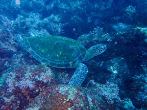 P3242468