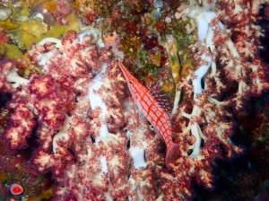 P3242518