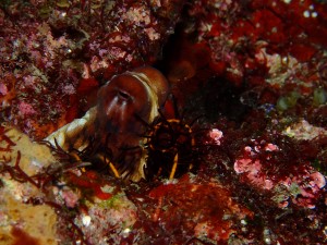 P3290141