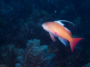 P3300408
