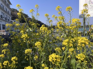 line_oa_chat_250323_174005