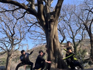 line_oa_chat_250323_174007