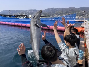 line_oa_chat_250325_182435