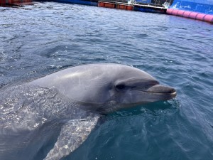 line_oa_chat_250325_182449