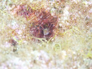 _DSC7555