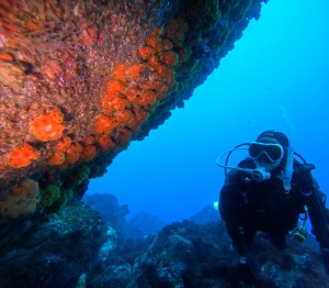 DCIM100GOPROGOPR4154.JPG