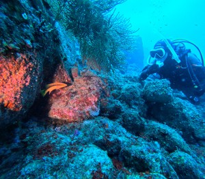 DCIM100GOPROGOPR4175.JPG