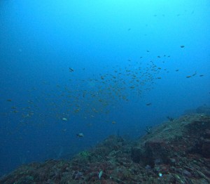 DCIM100GOPROGOPR4181.JPG
