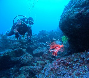 DCIM100GOPROGOPR4188.JPG